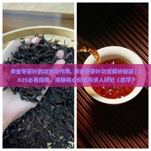 黄金芽茶叶的功效与作用