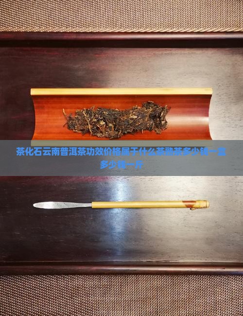 茶化石云南普洱茶
