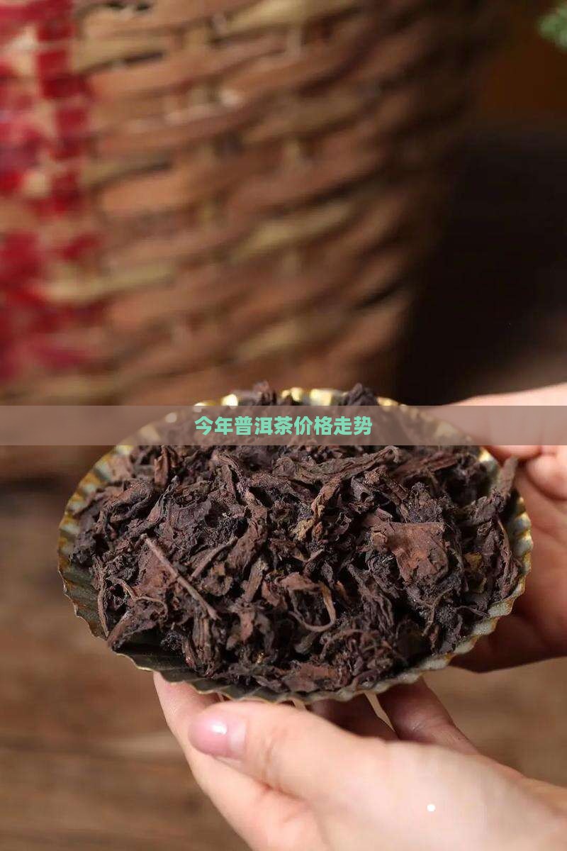 今年普洱茶价格走势