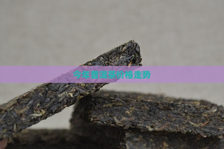 今年普洱茶价格走势