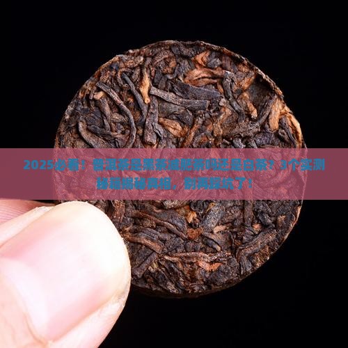 普洱茶是黑茶减肥茶吗还是白茶