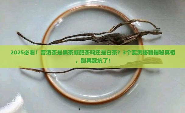 普洱茶是黑茶减肥茶吗还是白茶