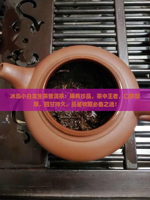 冰岛小白龙生茶普洱茶