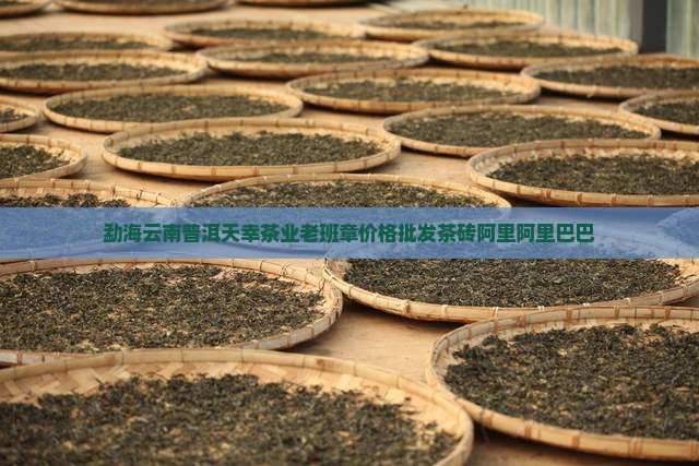 天幸茶业老班章