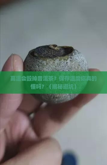 普洱茶保存温度高温会坏吗