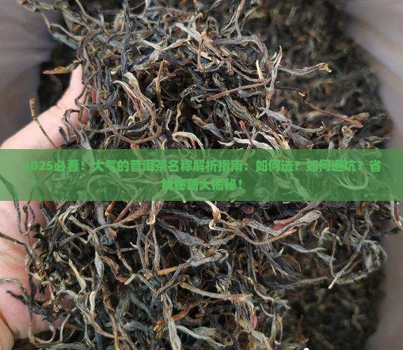 大气的普洱茶名称