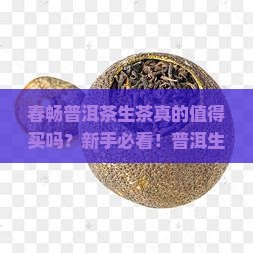 春畅普洱茶生茶