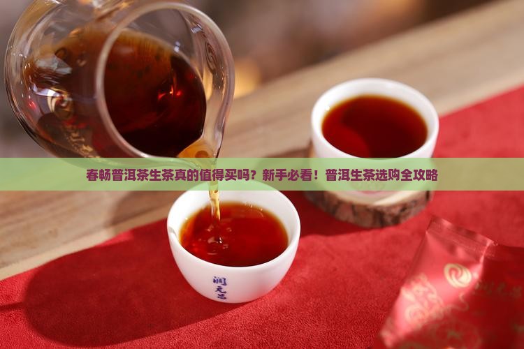 春畅普洱茶生茶