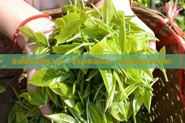 冬季普洱茶败火吗