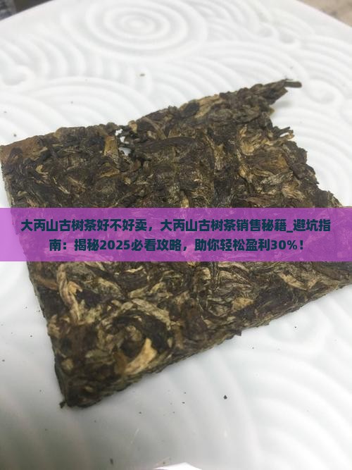 大丙山古树茶好不好卖