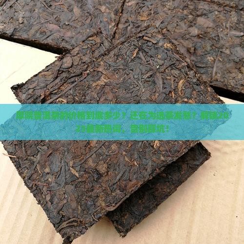 厚院普洱茶的价格