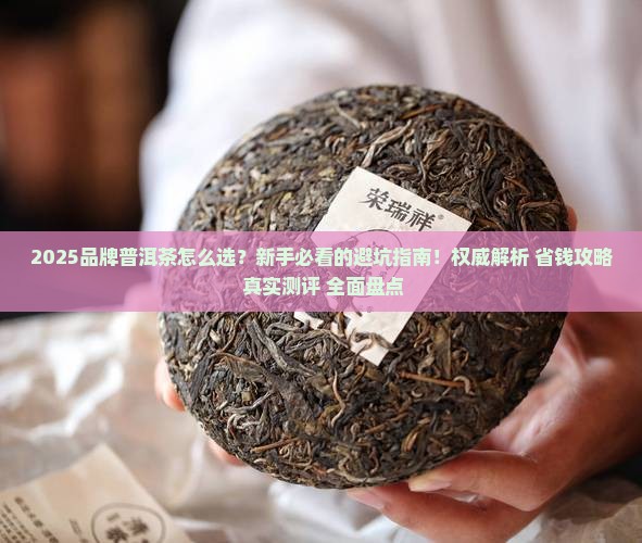 品牌普洱茶的推荐