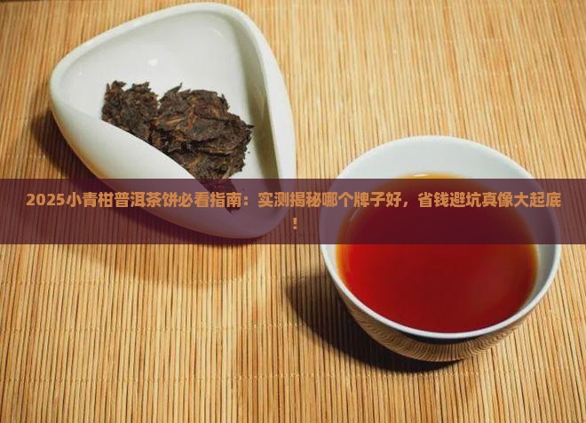 小青柑普洱茶饼哪个牌子好