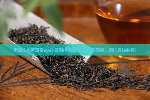 腊福古树普洱茶