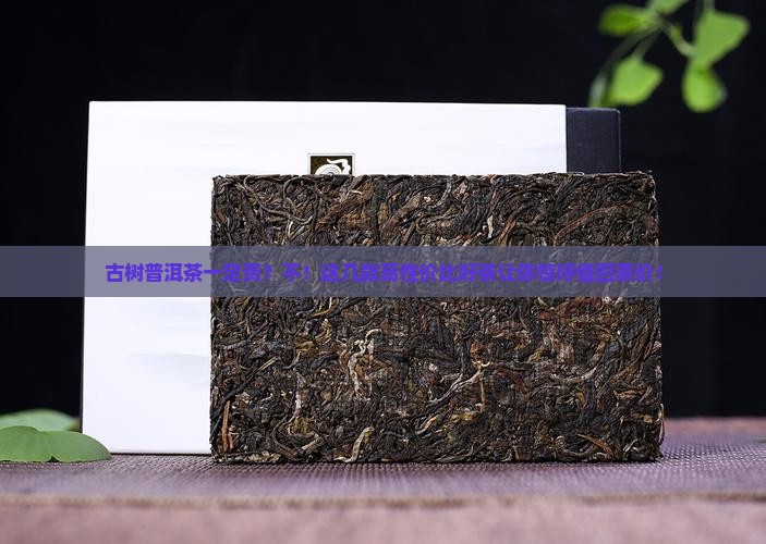 古树普洱茶一定贵
