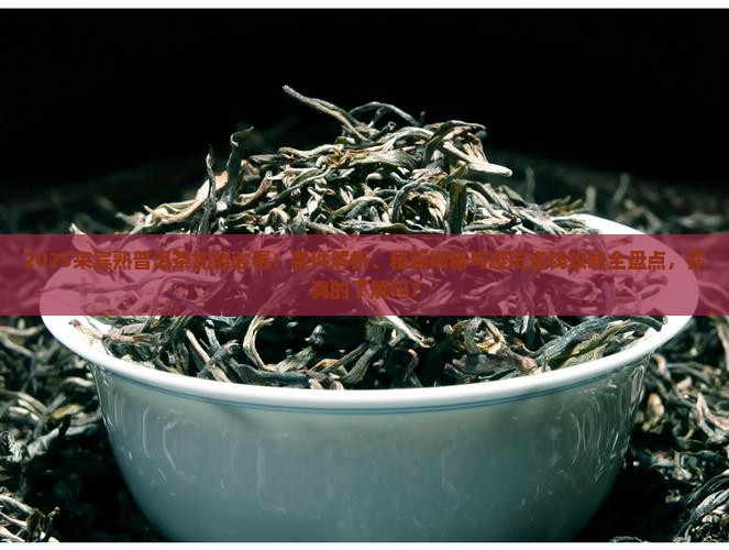 来宾熟普洱茶加盟条件是什么