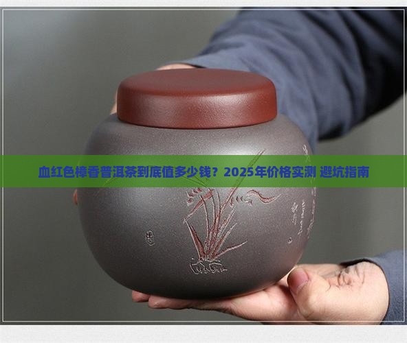 血红色樟香普洱茶价格表
