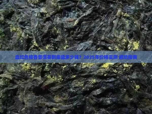 血红色樟香普洱茶价格表
