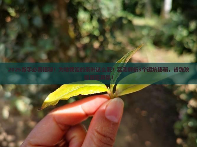 有的茶叶泡出来很脏