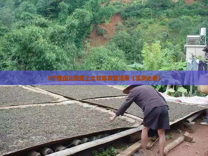 大红陈皮普洱茶的功效