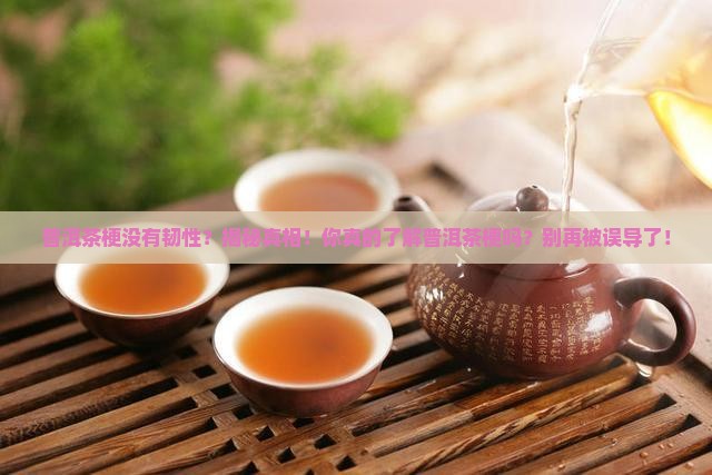普洱茶梗没有韧性