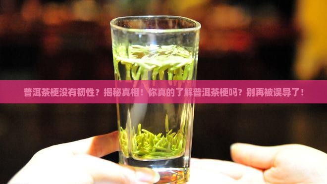 普洱茶梗没有韧性