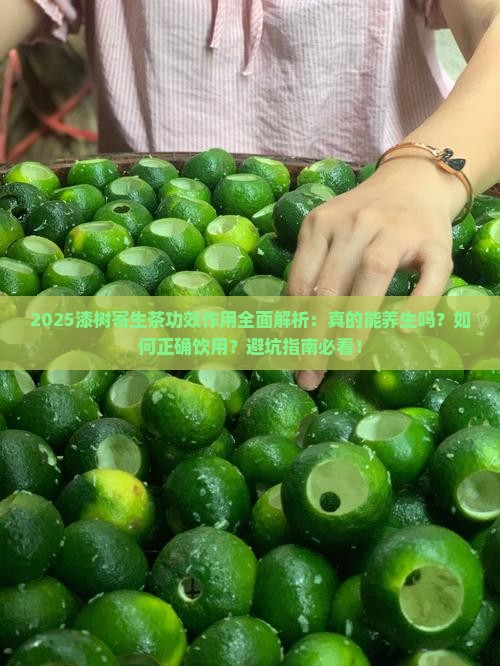 漆树寄生茶功效作用