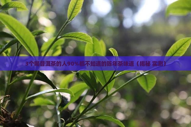 陈年普洱茶是什么味道 陈年普洱茶是什么味道