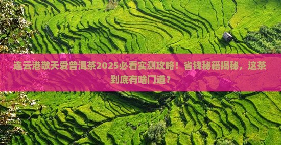 连云港敬天爱普洱茶