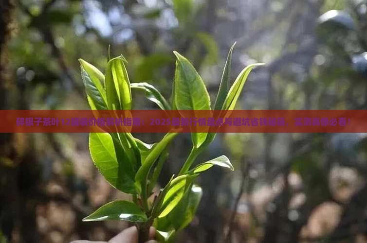 碎银子茶叶多少钱一盒12罐