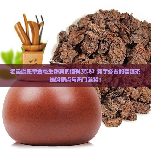 老曼峨班章金毫生饼