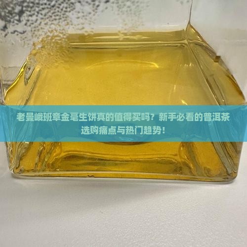 老曼峨班章金毫生饼