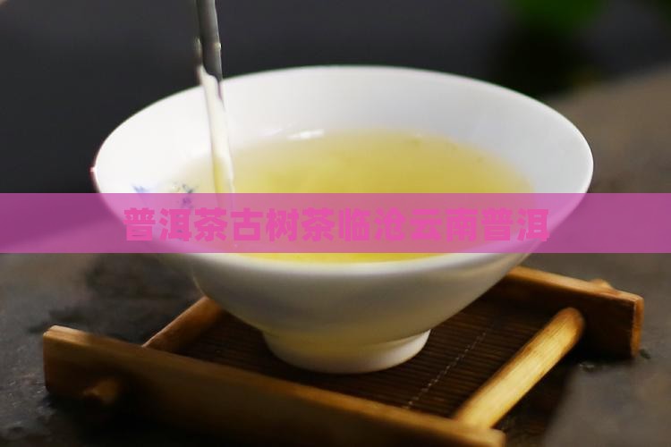 普洱茶古树茶临沧