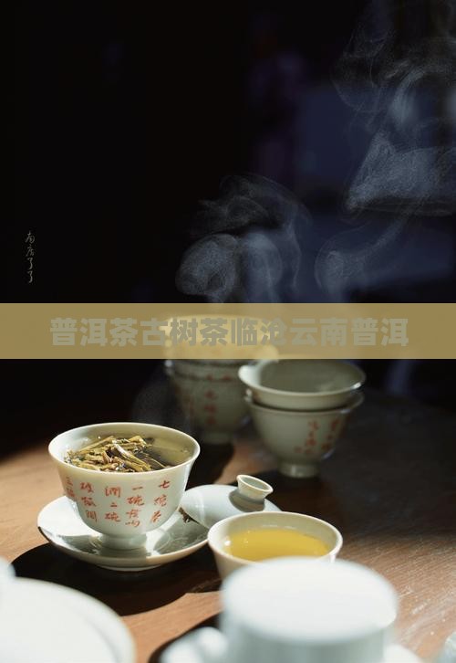 普洱茶古树茶临沧