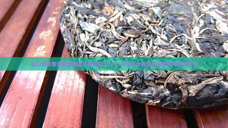 云山沧鼎普洱茶