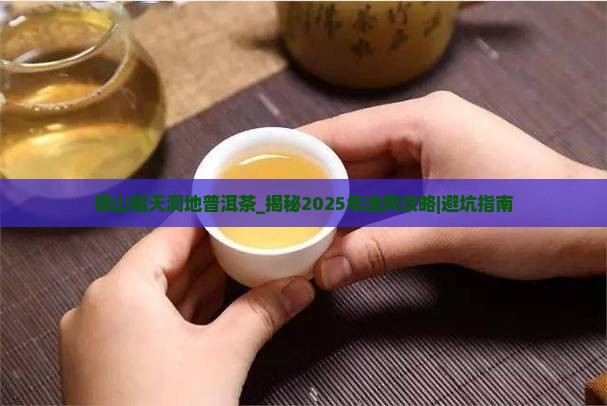 保山福天洞地普洱茶