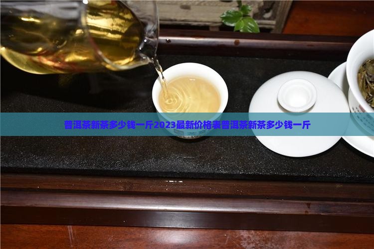 普洱茶新茶多少钱一斤