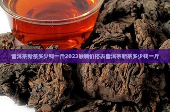 普洱茶新茶多少钱一斤