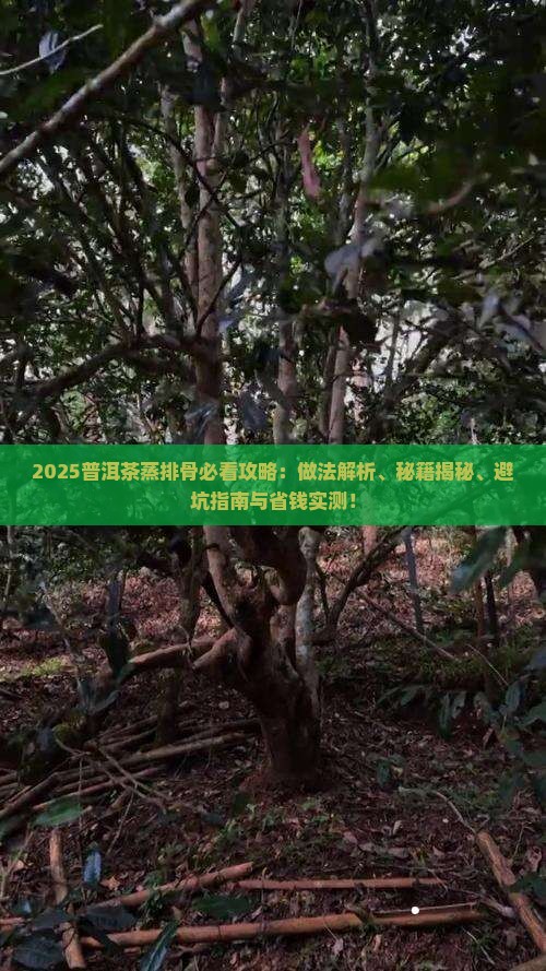 普洱茶蒸排骨做法