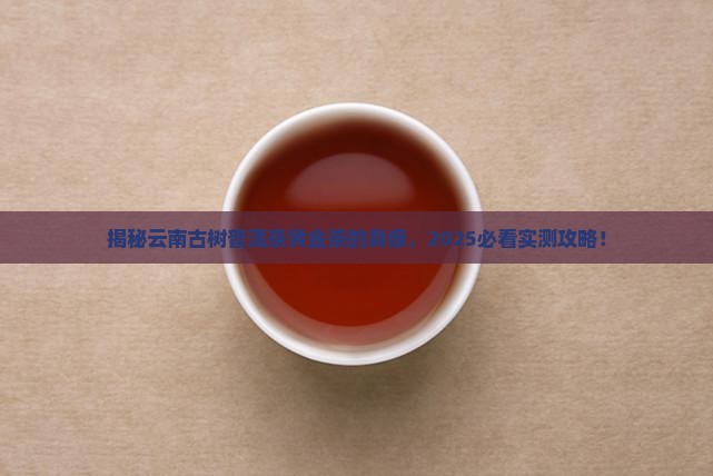云南古树普洱茶黄金茶