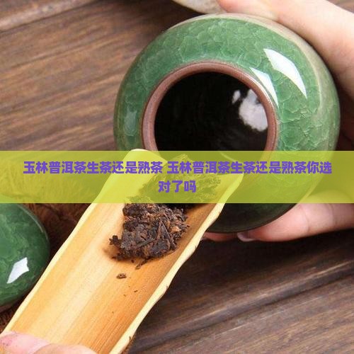 玉林普洱茶生茶还是熟茶
