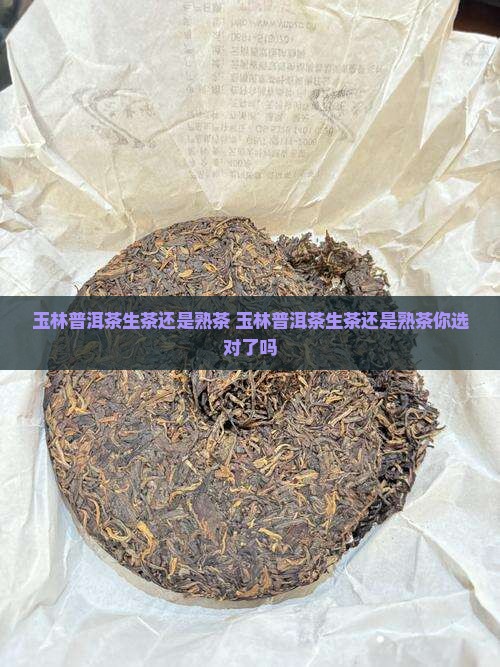 玉林普洱茶生茶还是熟茶