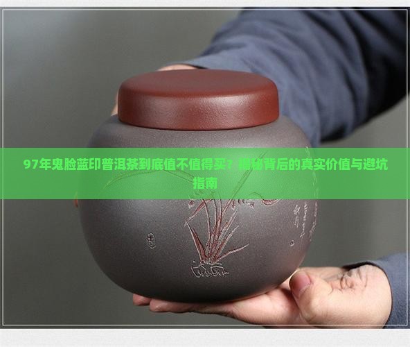 97年鬼脸蓝印普洱茶