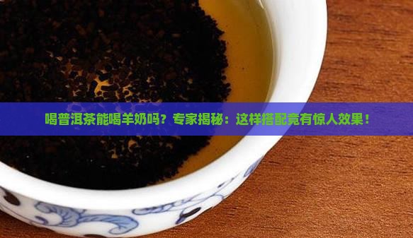 喝普洱茶能喝羊奶吗
