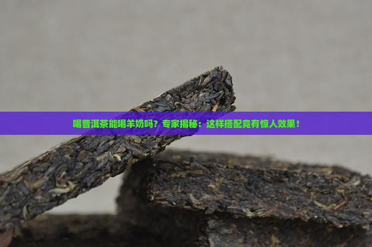 喝普洱茶能喝羊奶吗
