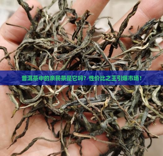 普洱茶中的亲民茶是