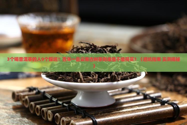 百年一品云南普洱茶古树茶