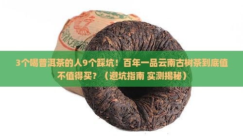 百年一品云南普洱茶古树茶