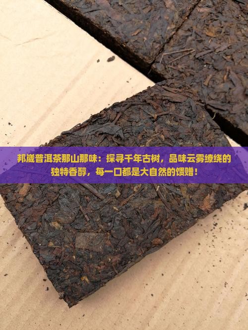 邦崴普洱茶那山那味