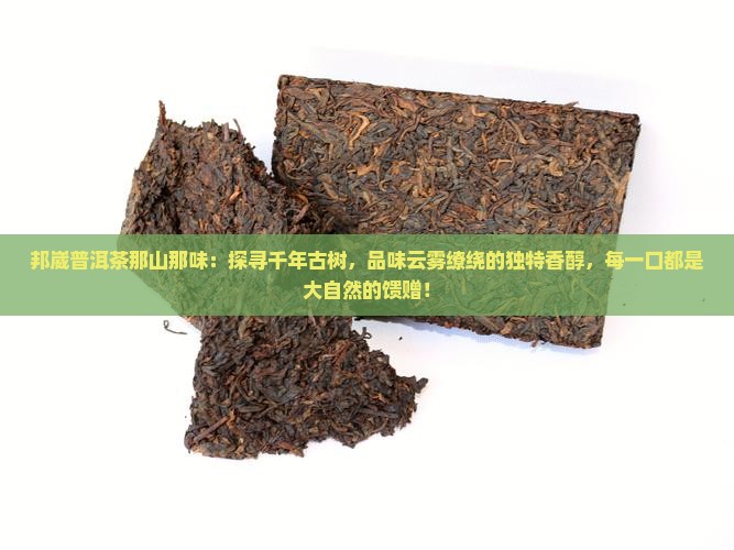 邦崴普洱茶那山那味